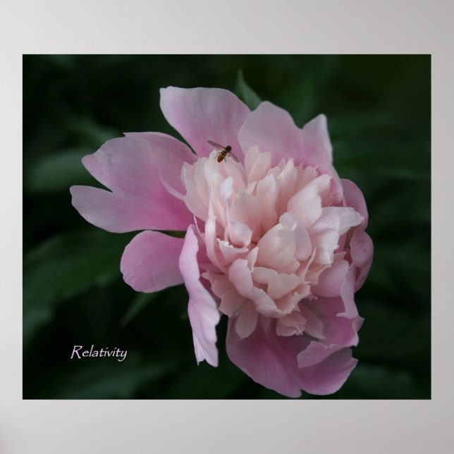 Relatividade - Poster de Arte Framable (Frente)