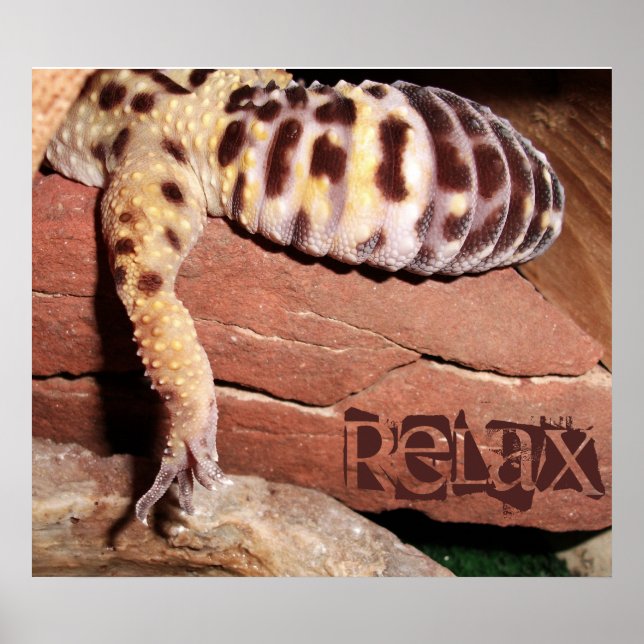 "Relaxe" Louning Leopard Gecko Poster (Frente)