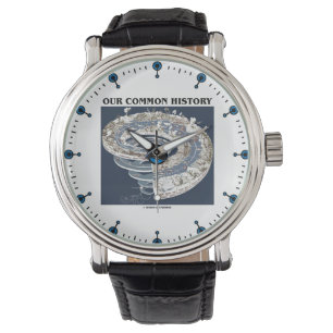 Relógio A nossa história comum da linha do tempo geológico