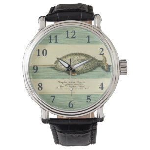 Relógio Arte Científica Narral Antiquada Por Cores De Bale