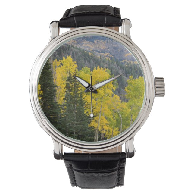 Relógio Árvores de Aspen (Populus Tremuloides) e Coníferas (Frente)