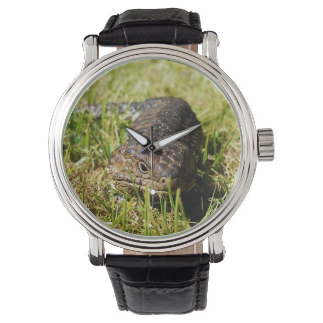 Relógio Aussie Blue Tongue Lizard, (Frente)