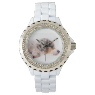 Relógio Australian shepherd puppy