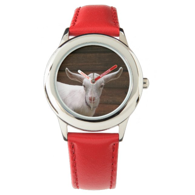 Relógio Baby Goat Kids Watch (Frente)