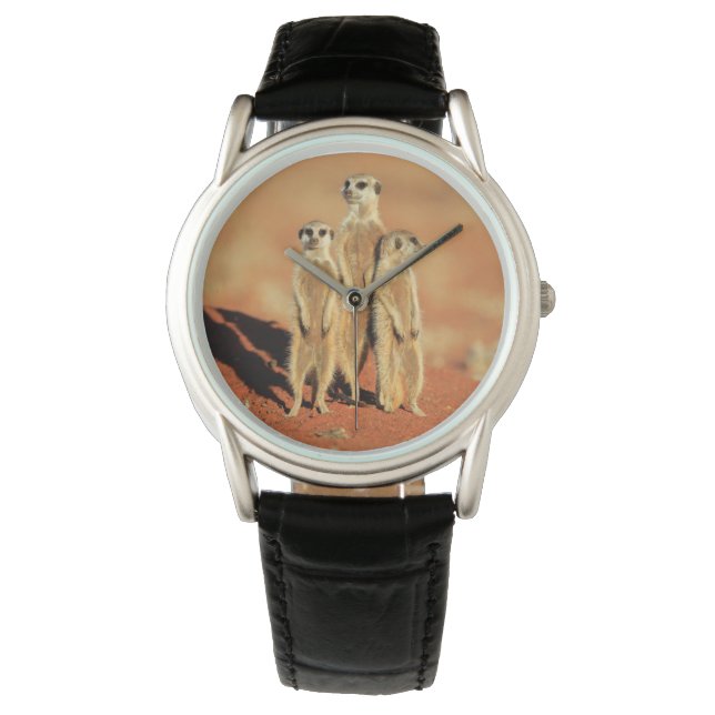 Relógio Bebês Mais Pobres | 3 Meerkats (Frente)