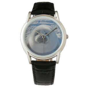 Relógio Bebês Mais Pobres   Bebê