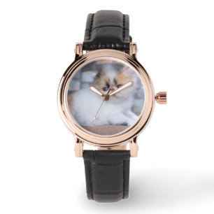 Relógio Bebês Mais Pobres Calico Pérsico Kitten