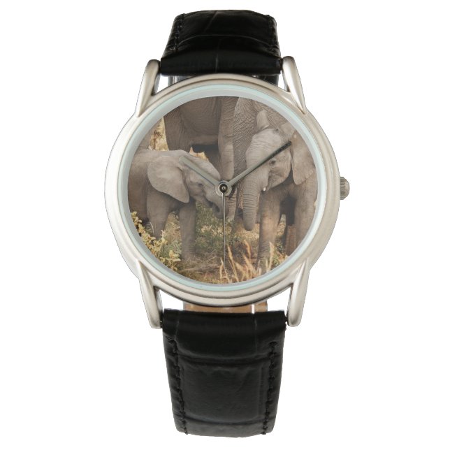 Relógio Bebês Mais Pobres | Dois elefantes jovens (Frente)