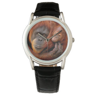 Relógio Bebês Mais Pobres   Orangutan Mãe e Bebê