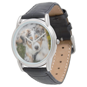 Relógio Bebês Mais Pobres Pastor australiano