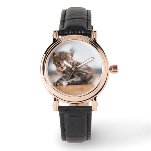 Relógio Bebês Mais Pobres | Pequeno Tabby Kitten (Frente)