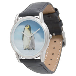 Relógio Bebês Mais Pobres Pintinho Imperador Pinguim