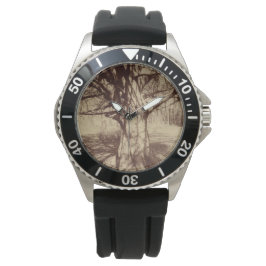 Relógio Beech Tree (por Eugène Atget)