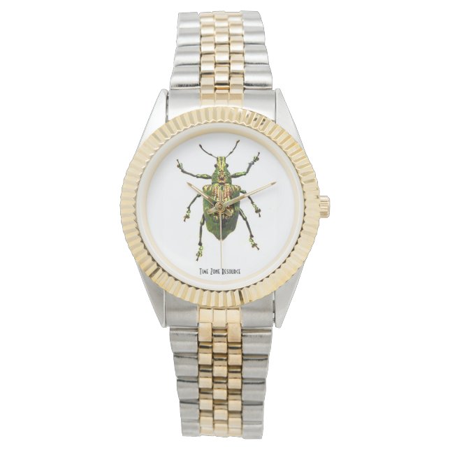 Relógio Beetle Insect Watch Jewelry (Frente)