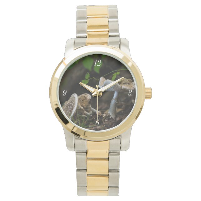 Relógio Beleza venenosa (Frente)