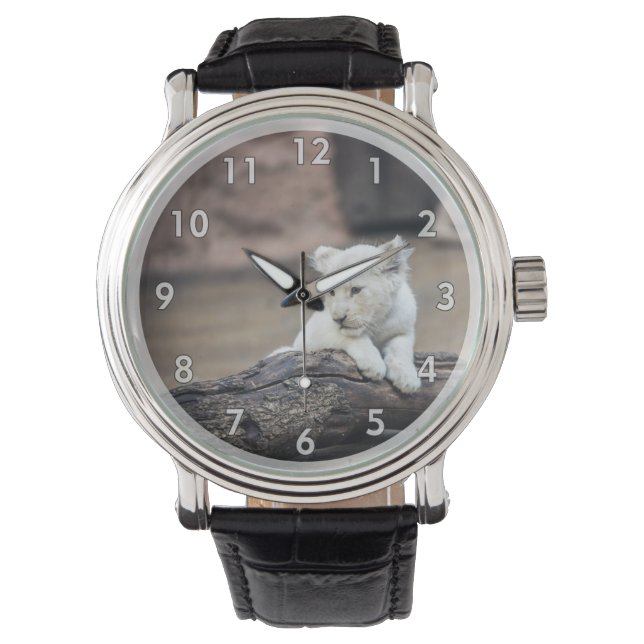 Relógio Belo Bebê, Leão Branco (Frente)