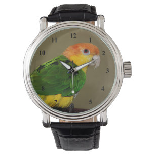 Relógio Belo Papagaio Branco Caique Posicionando