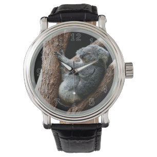 Relógio Belo Urso Koala em uma árvore