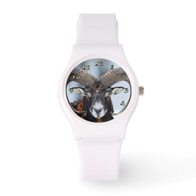 Relógio Big Horn Ram Sheep - Mouflon (Frente)