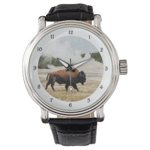 Relógio Bison e Velha Faitidade