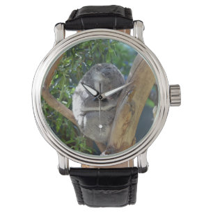 Relógio Bonito Dormindo Koala em árvore