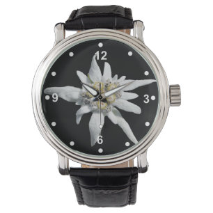 Relógio branco elegante de Edelweiss