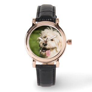 Relógio Cachorro de Dourado