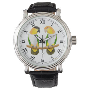 Relógio Caique Parrot Love Watch