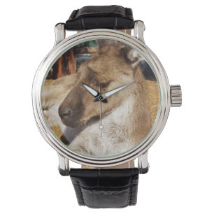 Relógio Canguru Australiano Sonolento, Mens Leather Watch.