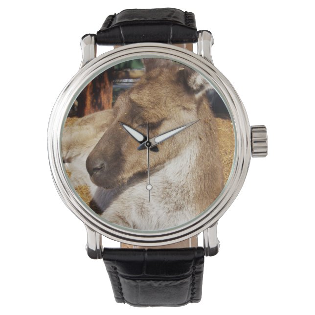 Relógio Canguru Australiano Sonolento, Mens Leather Watch. (Frente)