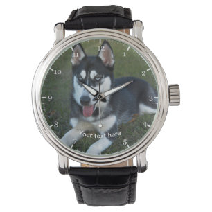 Relógio Cãozinho Siberiano