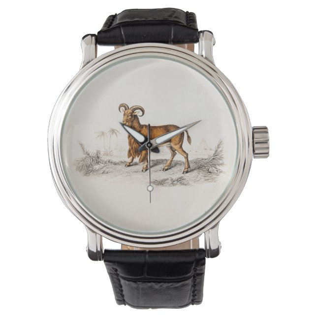 Relógio Caprinos Retrorsos De Desenho De Caprinos Com Barr (Frente)