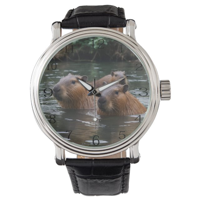 Relógio Capybara está nadando no rio, (Frente)