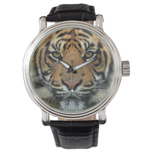 Relógio Cara do tigre