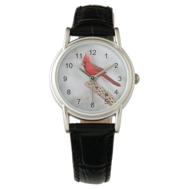 Relógio Cardeal de norte em uma ramificação (Frente)