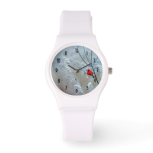 Relógio Cardeal Vermelho no Natal Foto Natal