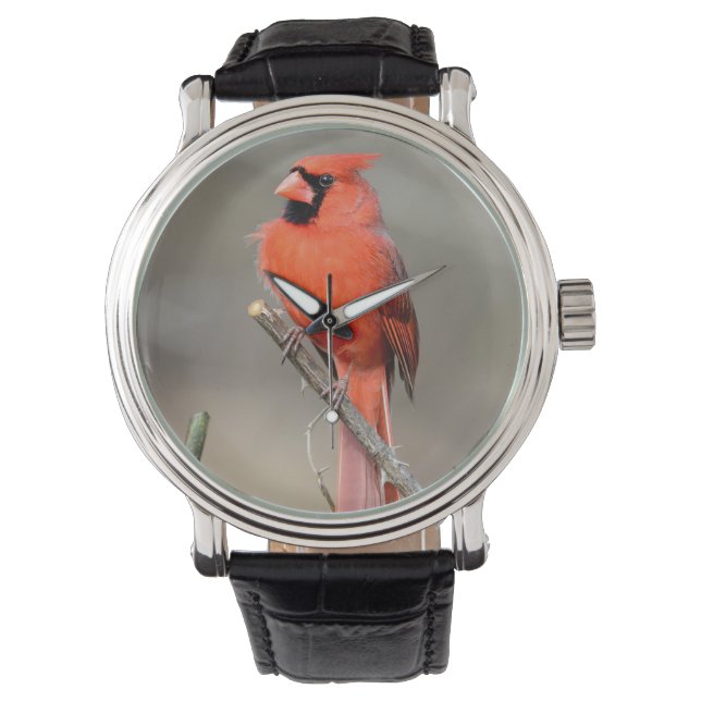 Relógio Cardinal Watch (Frente)