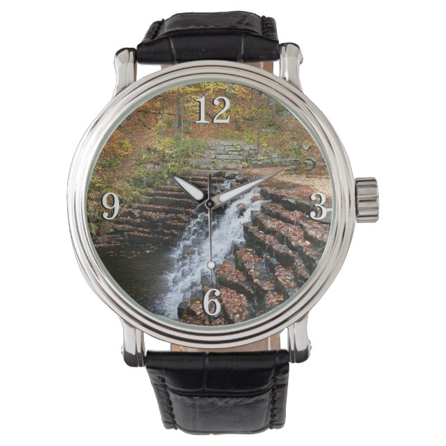 Relógio Cascata em Laurel Hill State Park II (Frente)