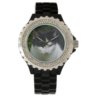 Relógio Cat Watch