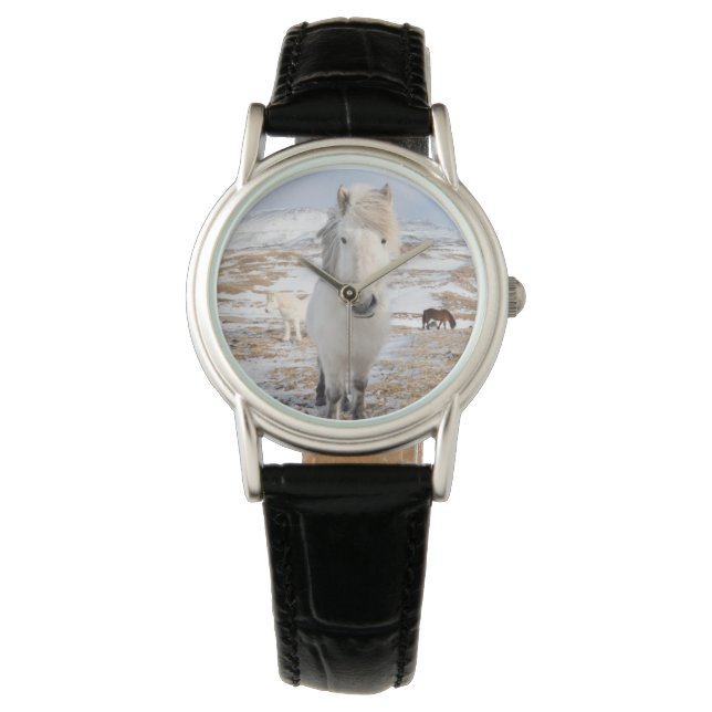 Relógio Cavalo Islandês Branco, Islândia (Frente)