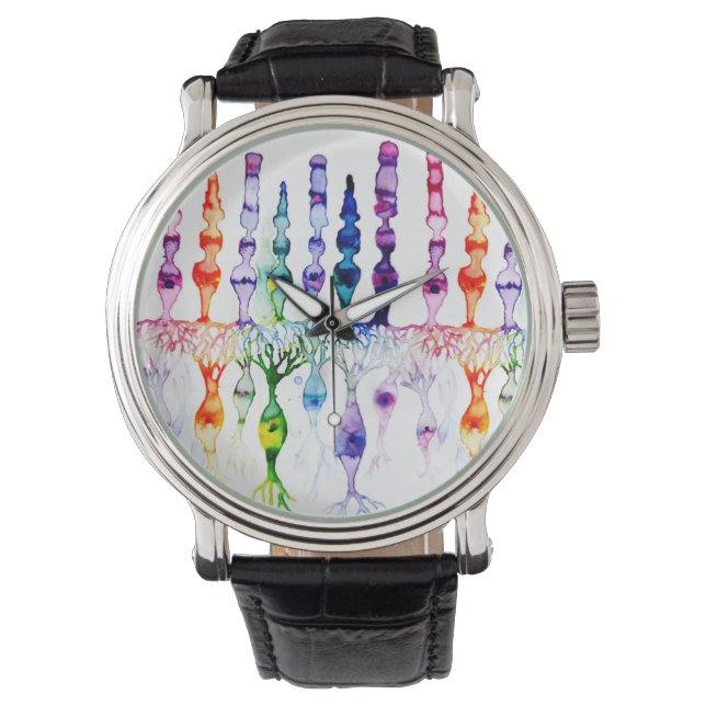 Relógio Células de cone e neurônio bipolar da retina (Frente)