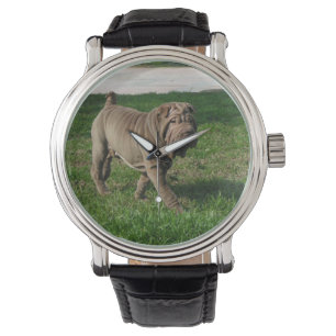 Relógio cheio shar 3 do pei