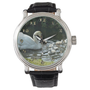 Relógio Cisne branco com Pintinhos