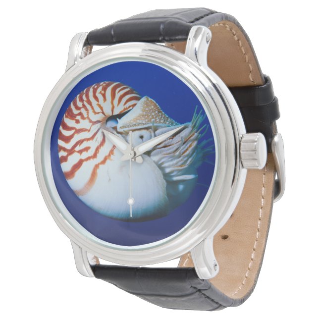 Relógio Close-Up de Nautilus-Camarado (Angular)