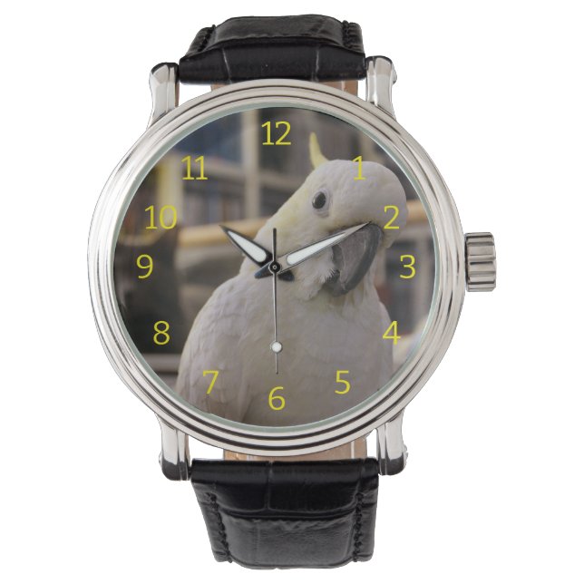 Relógio Cockatoo (Frente)