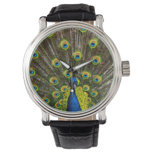 Relógio Colorful peacock