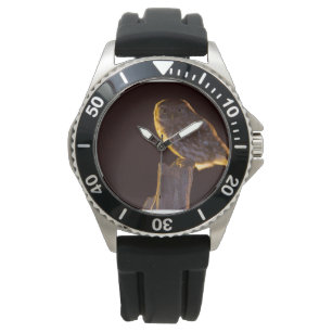 Relógio Coruja Ver 11