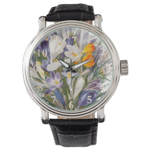 Relógio Crocus Primavera Fllower Arte Botânica