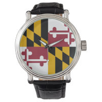 Cuidado especial com a bandeira de Maryland