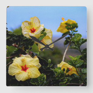 Relógio da parede Maui do quadrado HIbiscus